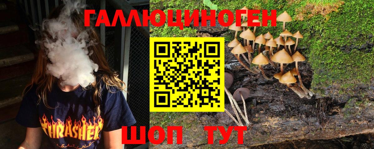 Галлюциногенные грибы Magic Shrooms  Вход с VPN  Псилоцибиновые грибы ЛСД  Черняховск 