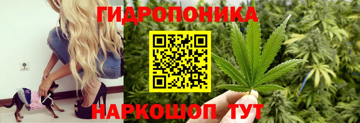 Бошки марихуана семена Черняховск